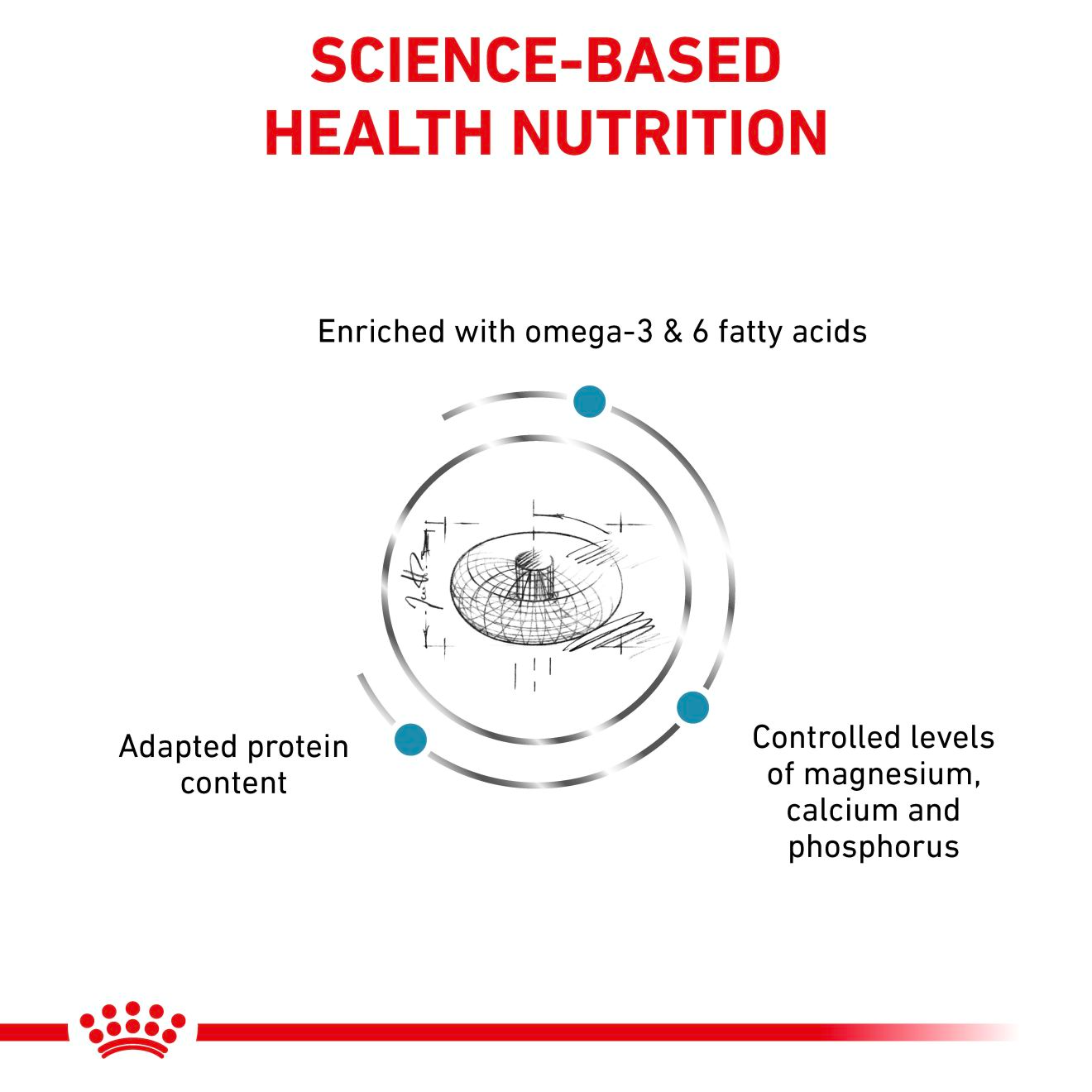 Royal Canin Veterinary Diets Derma Skin & Coat kissan kuivaruoka 3,5 kg