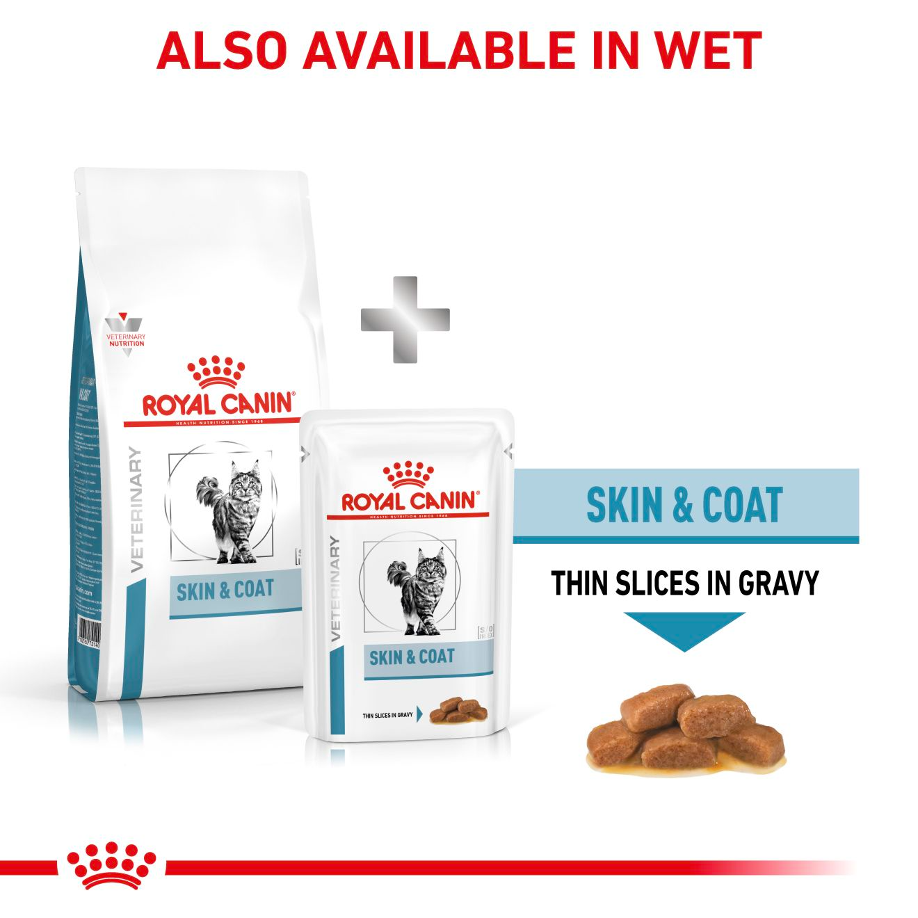 Royal Canin Veterinary Diets Derma Skin & Coat kissan kuivaruoka 3,5 kg
