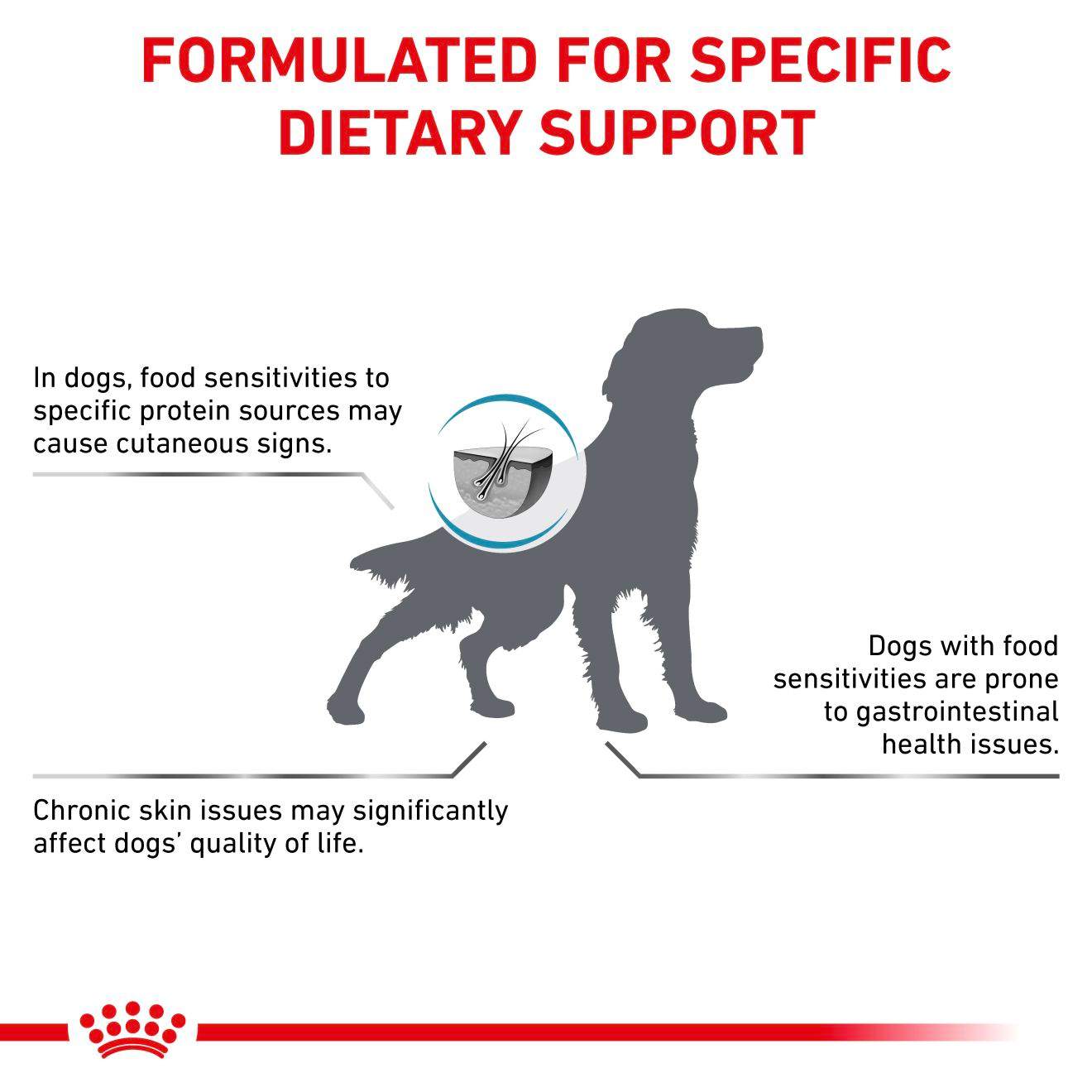 Royal Canin Veterinary Diets Derma Hypoallergenic koiran kuivaruoka 7 kg
