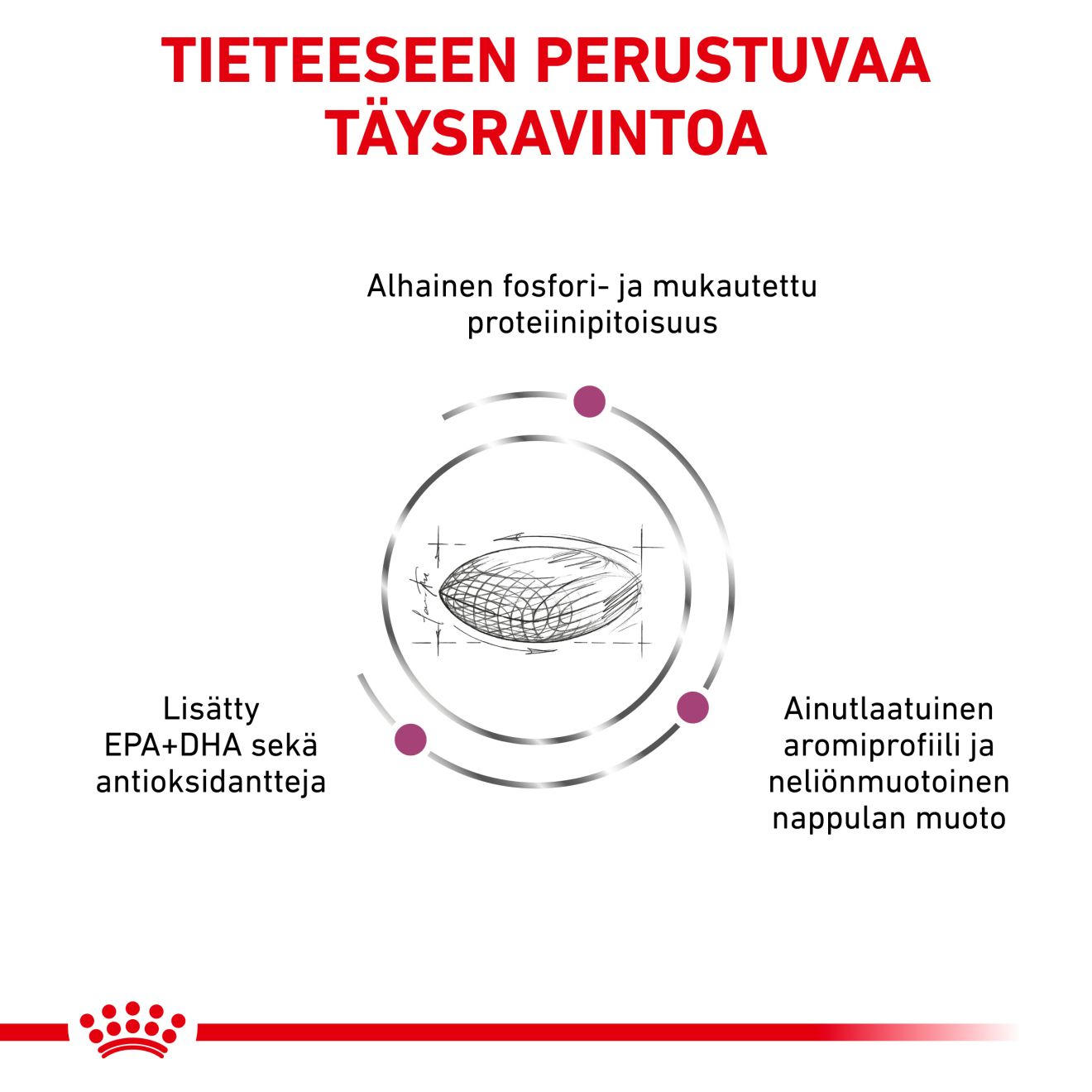 Royal Canin Veterinary Diets Renal koiran kuivaruoka 2 kg