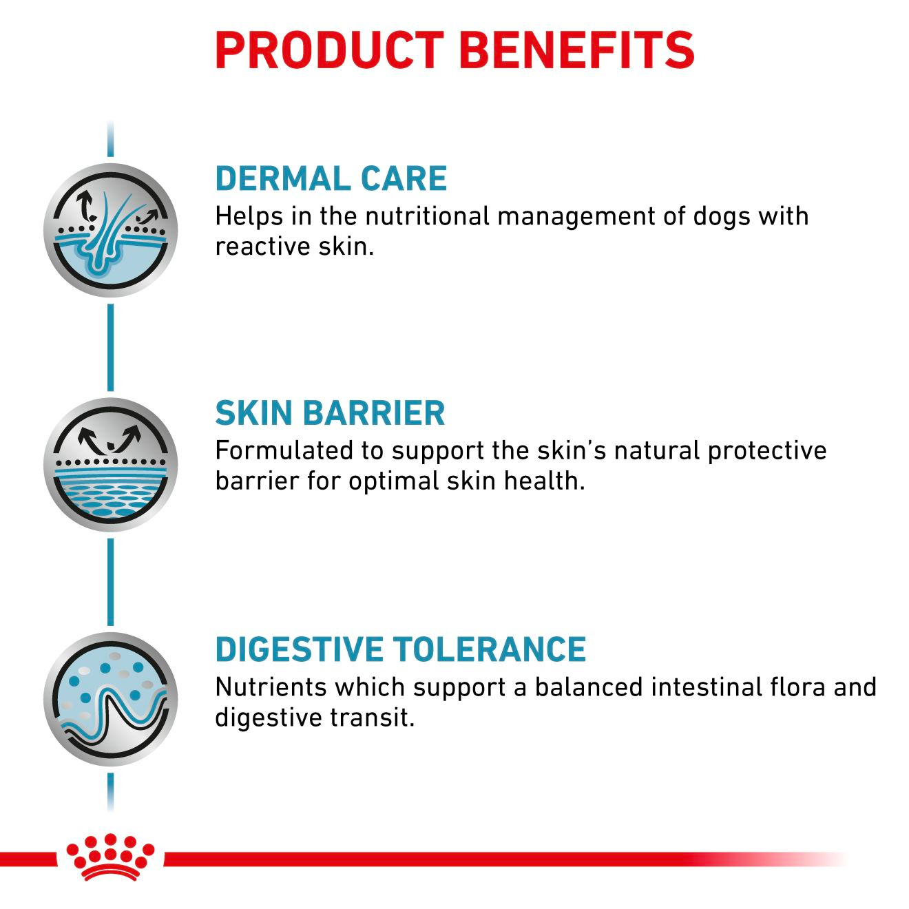 Royal Canin Veterinary Diets Derma Skin Care koiran kuivaruoka 8 kg