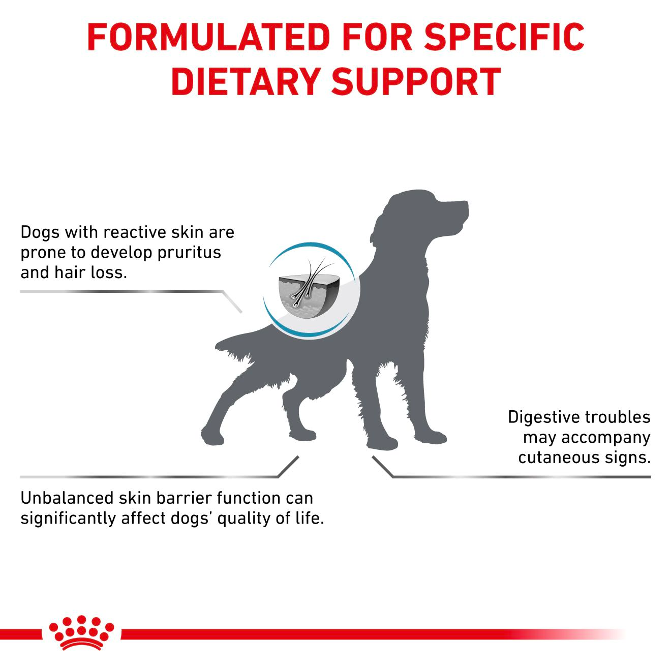 Royal Canin Veterinary Diets Derma Skin Care koiran kuivaruoka 8 kg