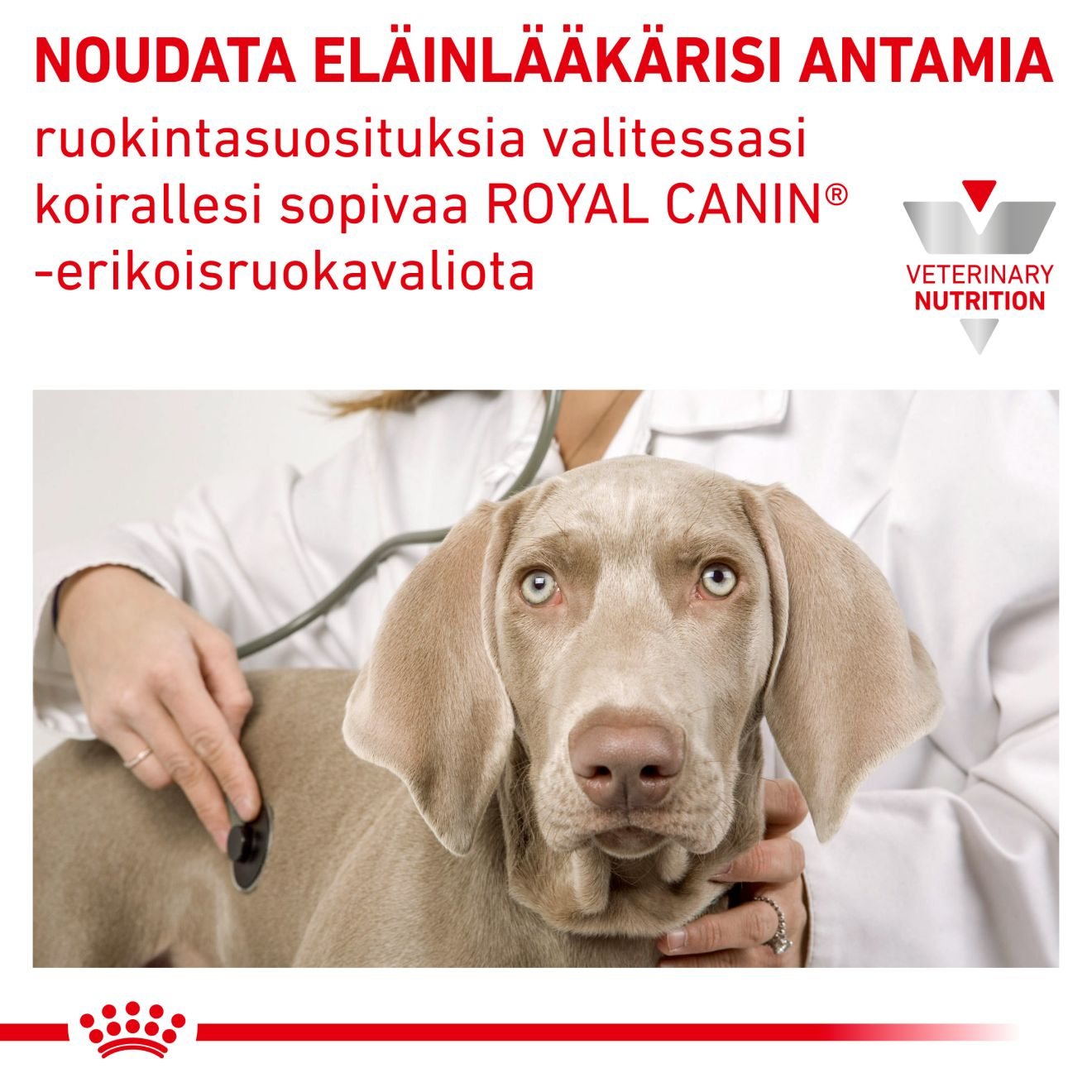 Royal Canin Veterinary Diets Urinary U/C Low Purine koiran kuivaruoka 7,5 kg
