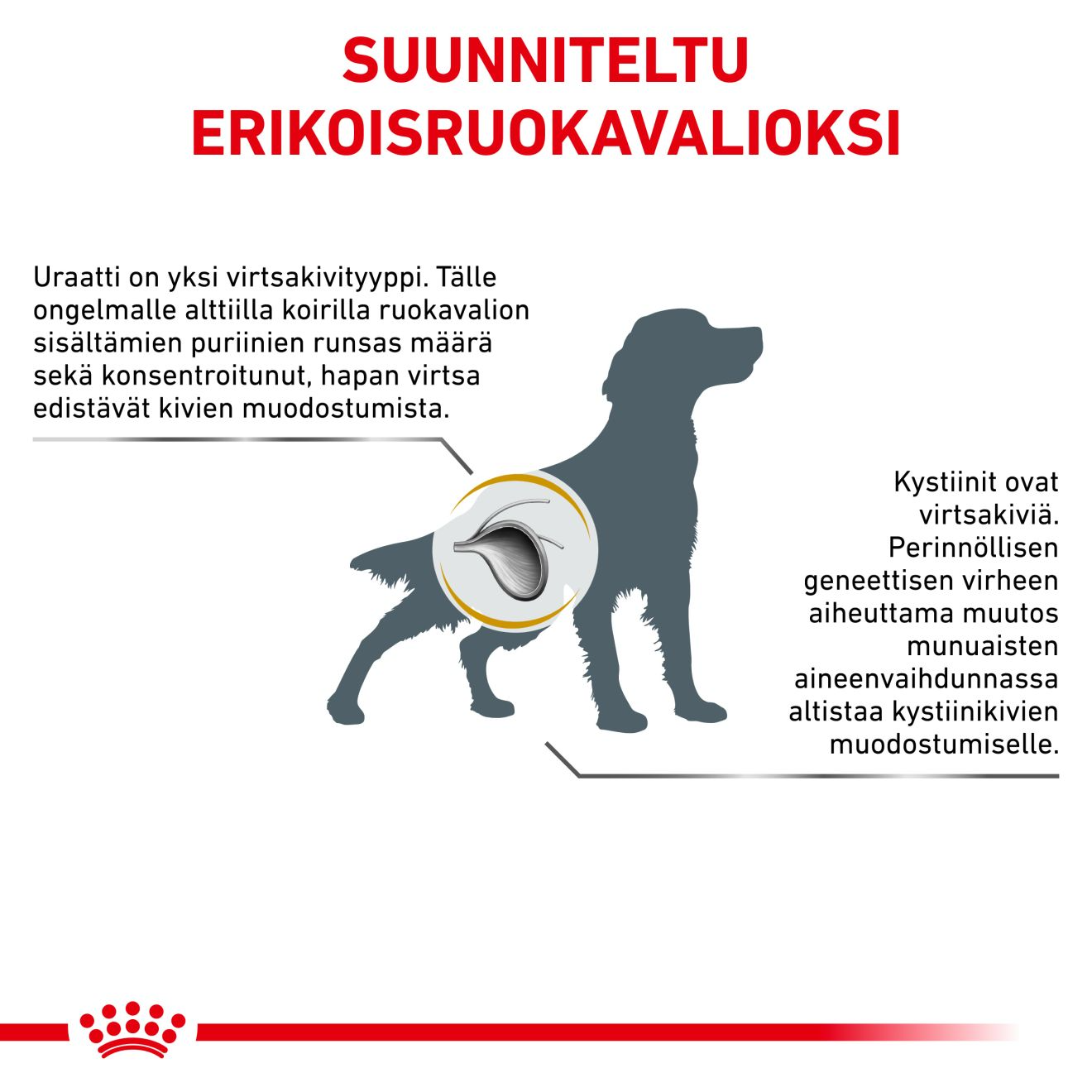 Royal Canin Veterinary Diets Urinary U/C Low Purine koiran kuivaruoka 2 kg