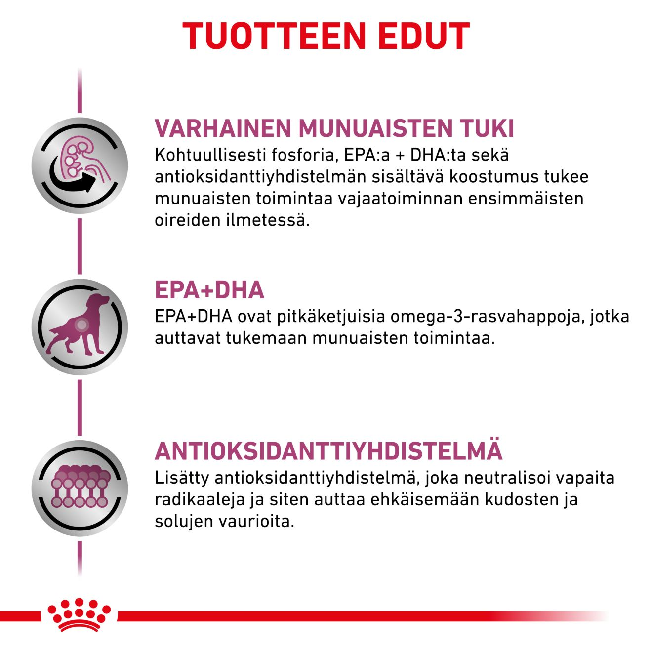 Royal Canin Veterinary Diets Vital Early Renal annospussi koiran märkäruoka 12 x 100 g