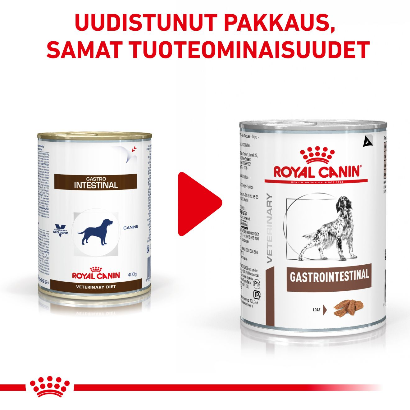 Royal Canin Veterinary Diets Gastrointestinal Loaf säilykepurkki koiran märkäruoka 200 g MAISTELUPAKKAUS PÄIVÄYSTARJOUS