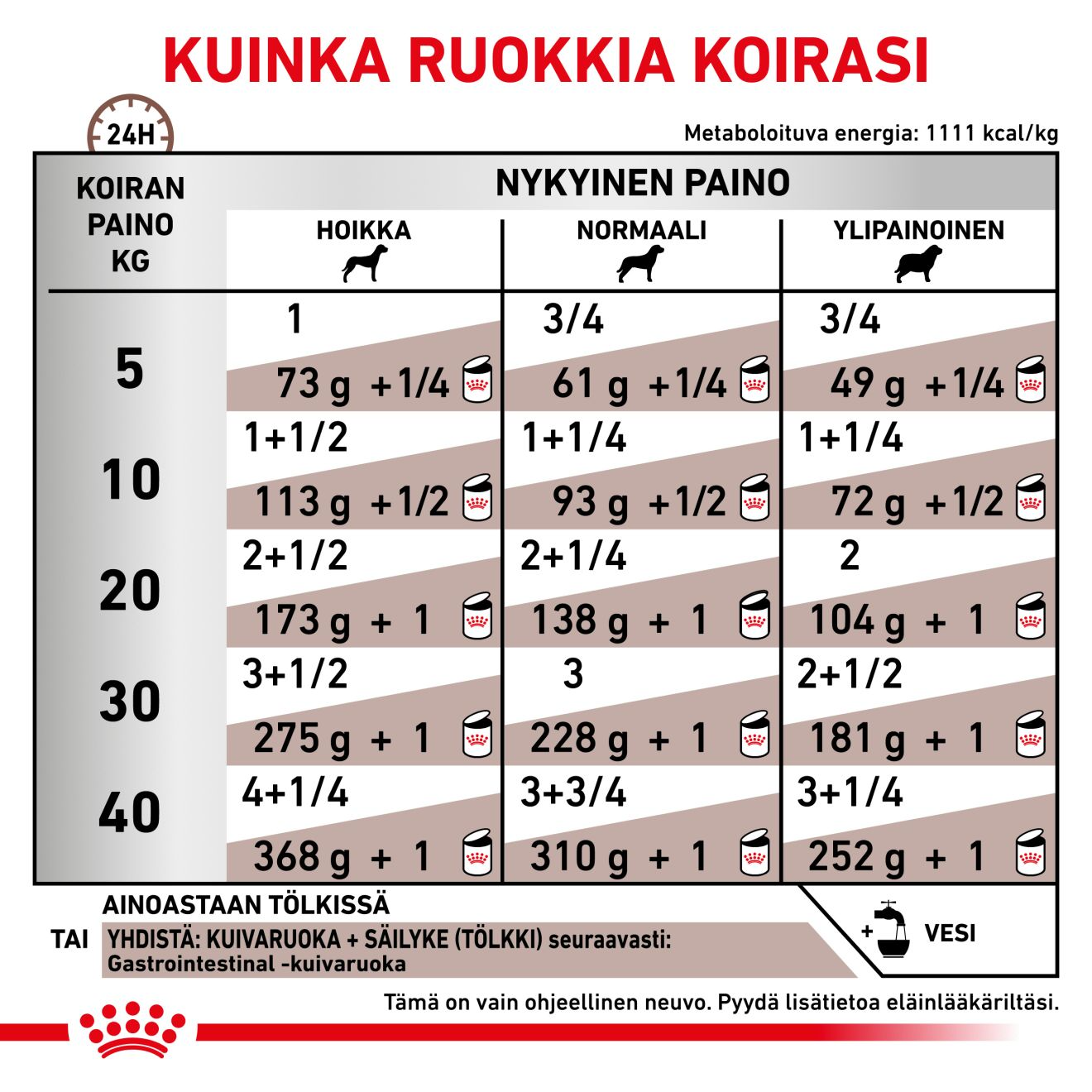 Royal Canin Veterinary Diets Gastrointestinal Loaf säilykepurkki koiran märkäruoka 200 g MAISTELUPAKKAUS PÄIVÄYSTARJOUS
