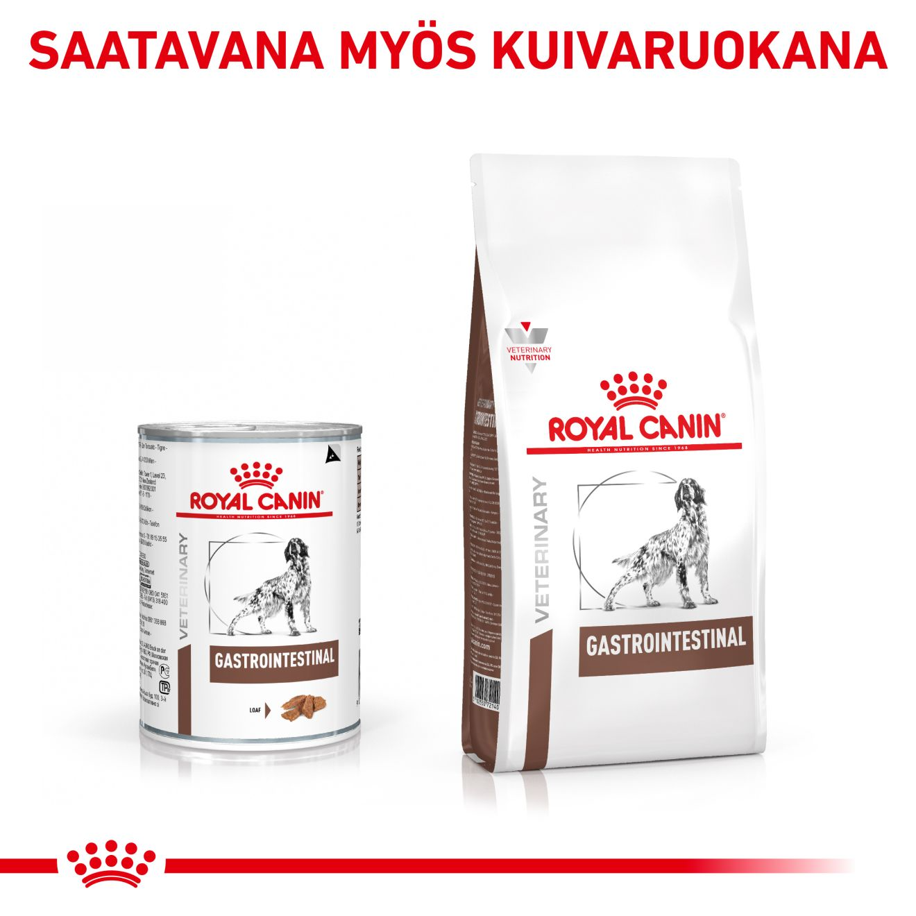 Royal Canin Veterinary Diets Gastrointestinal Loaf säilykepurkki koiran märkäruoka 200 g MAISTELUPAKKAUS PÄIVÄYSTARJOUS