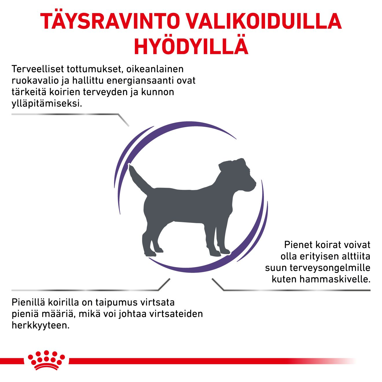 Royal Canin Veterinary Diets Health Management Adult Small dog koiran kuivaruoka 2 kg