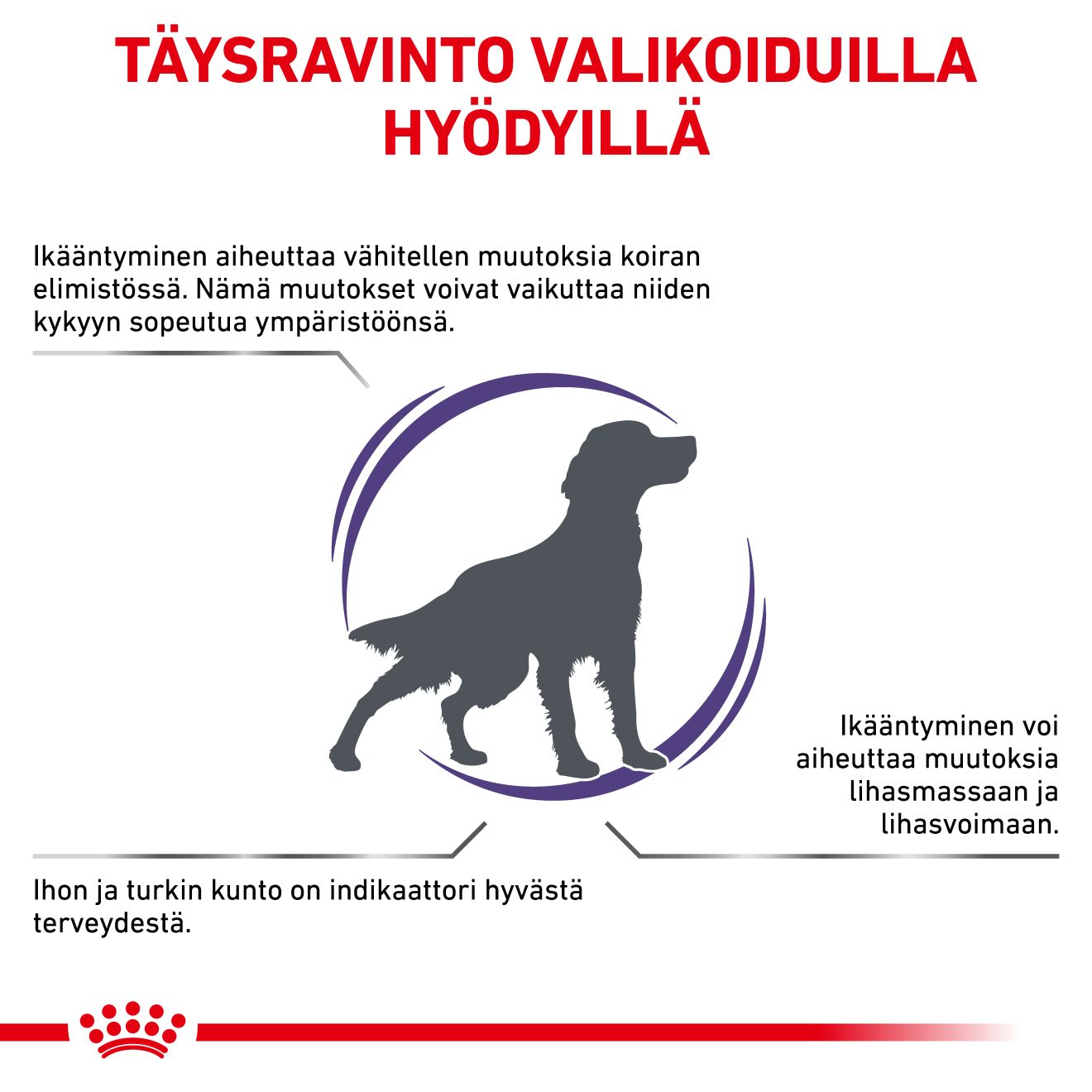Royal Canin Veterinary Diets Health Management Mature Consult koiran kuivaruoka 10 kg PÄIVÄYSTARJOUS