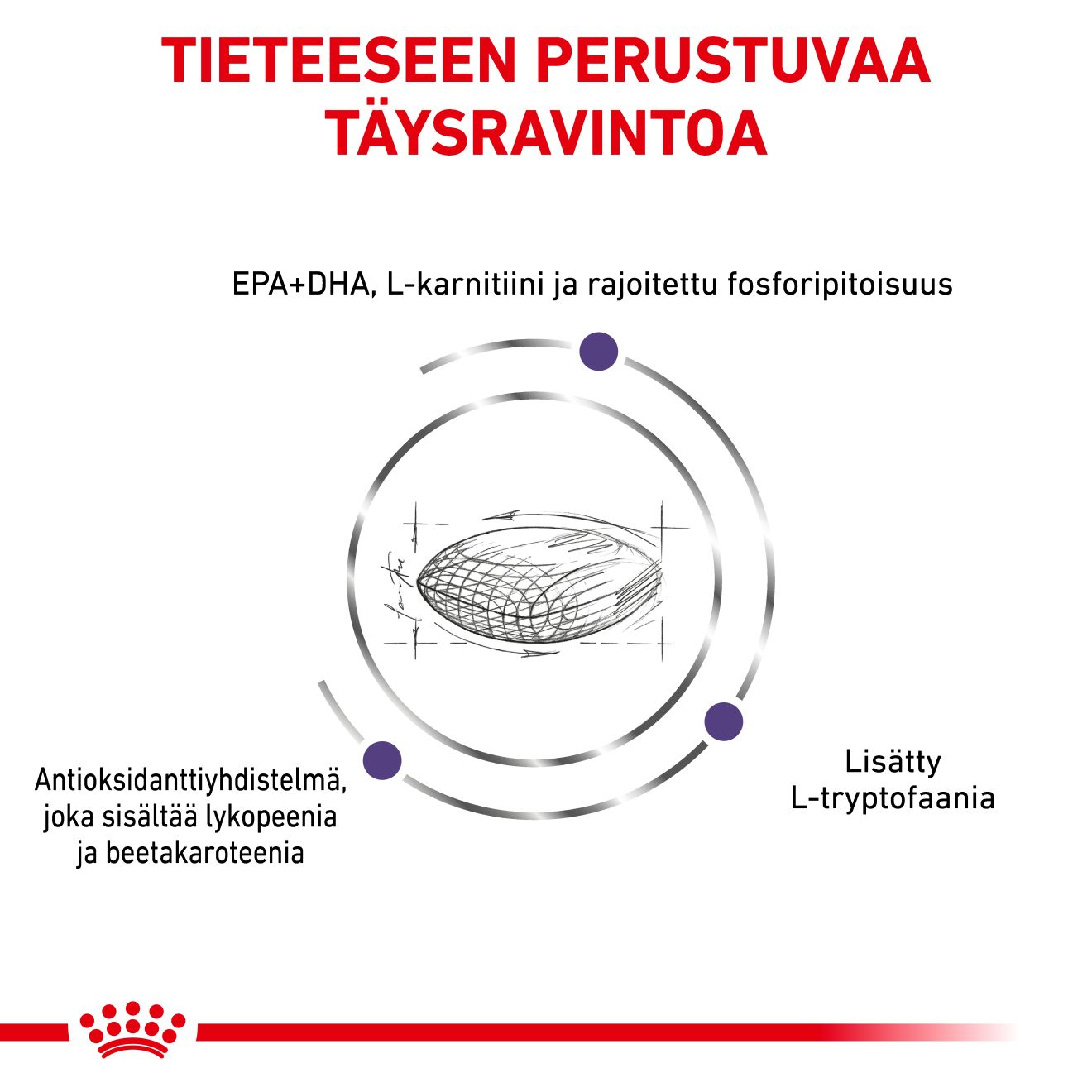 Royal Canin Veterinary Diets Health Management Mature Consult koiran kuivaruoka 10 kg PÄIVÄYSTARJOUS