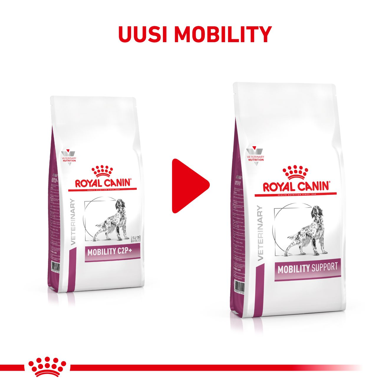 Royal Canin Veterinary Diets Mobility Support koiran kuivaruoka 7 kg