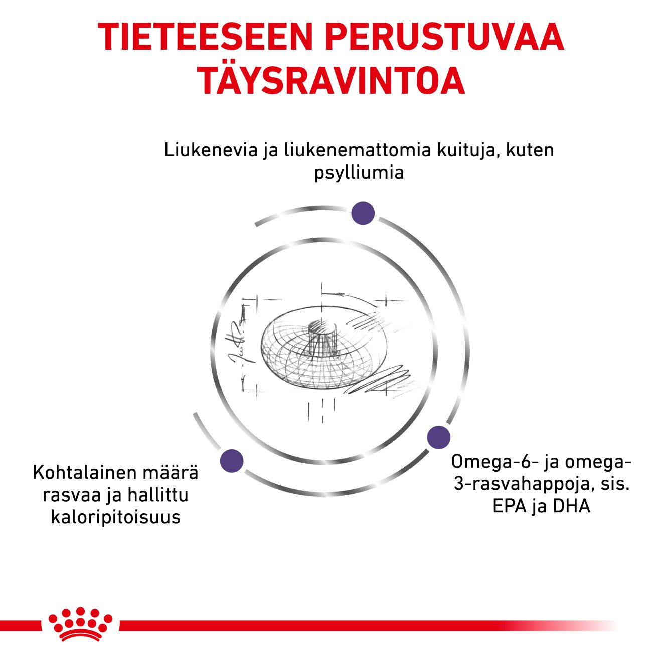 Royal Canin Veterinary Diets Health Management Neutered Adult koiran kuivaruoka 3,5 kg