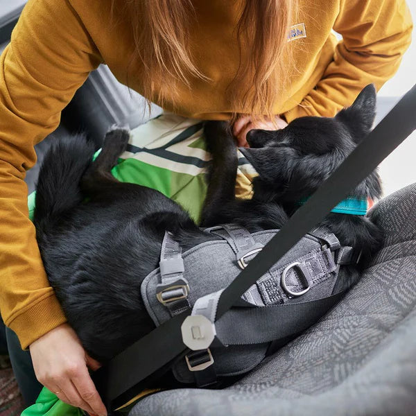 Hurtta Travel ECO valjas graniitti 10-20 kg