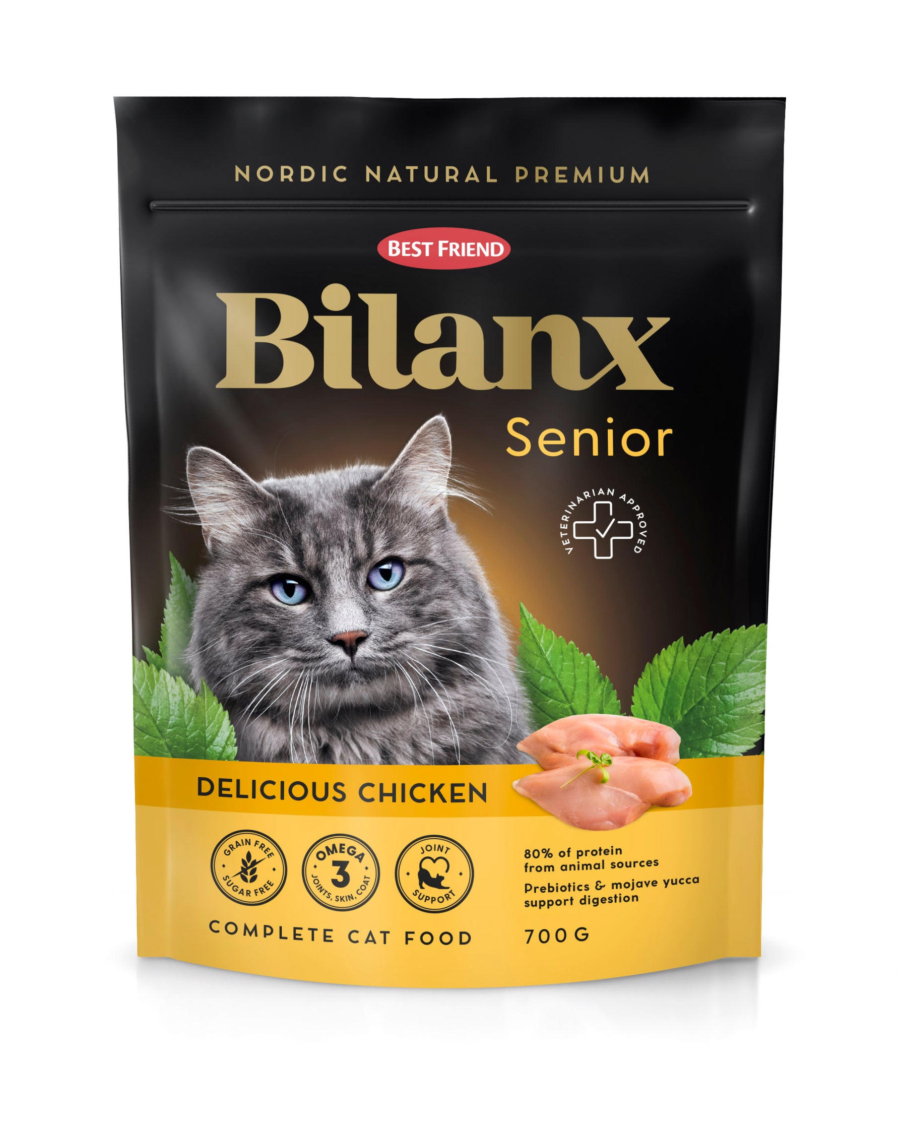 Best Friend Bilanx Senior kana kissalle 700 g