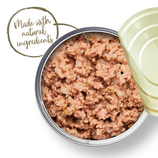 Applaws Kissa Senior kana hyytelössä purkki 24 x 70 g
