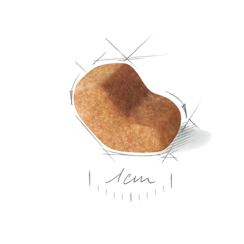 Royal Canin Shih Tzu Adult Dry 1,5 kg