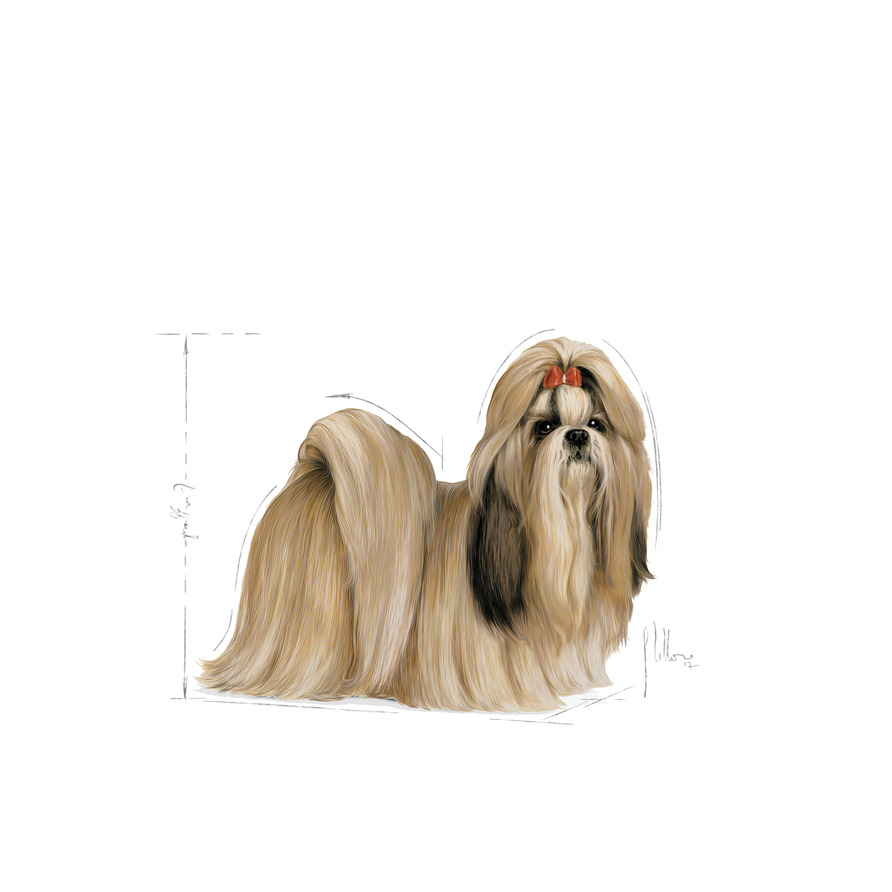 Royal Canin Shih Tzu Adult Dry 7,5 kg