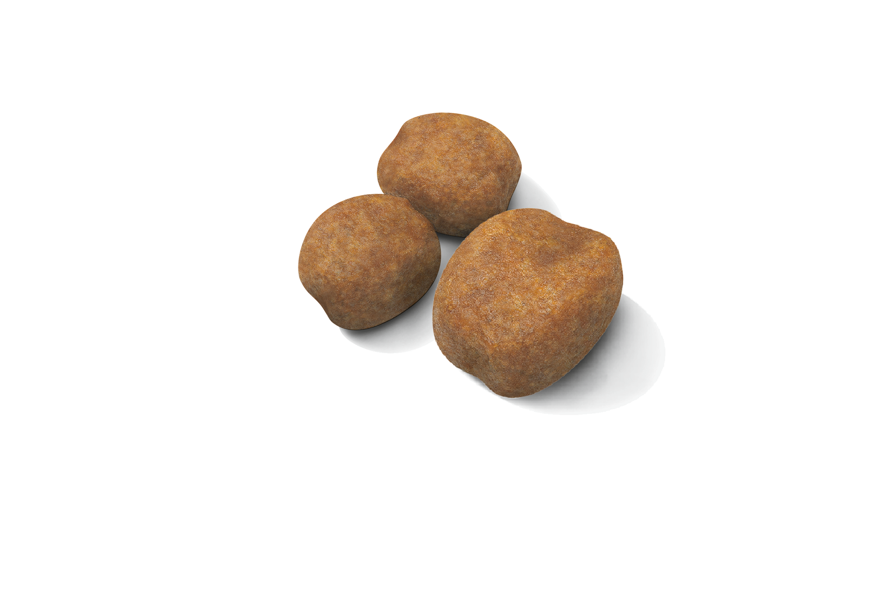 Royal Canin Giant Puppy koiralle 3,5 kg