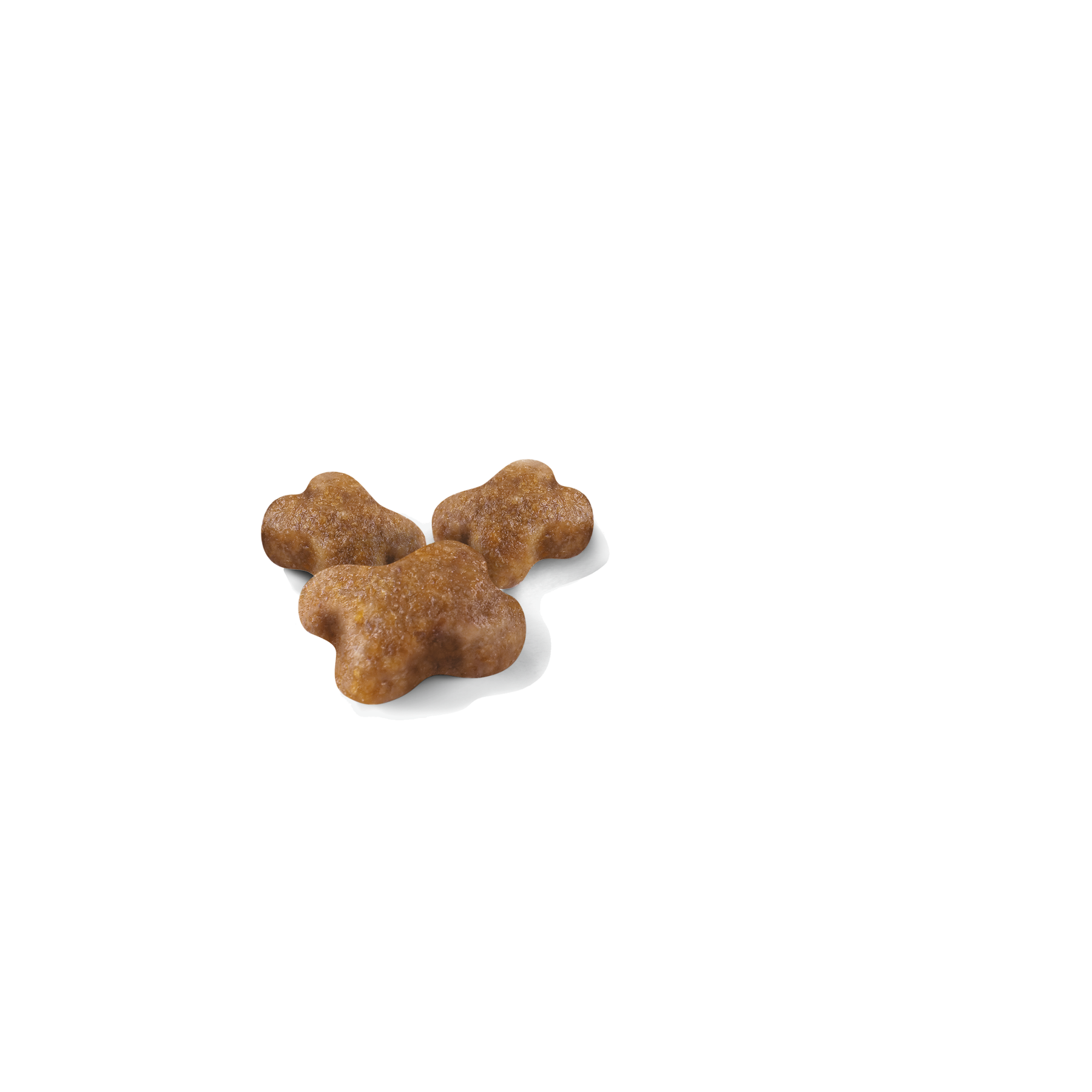 Royal Canin Kitten kissalle 400 g