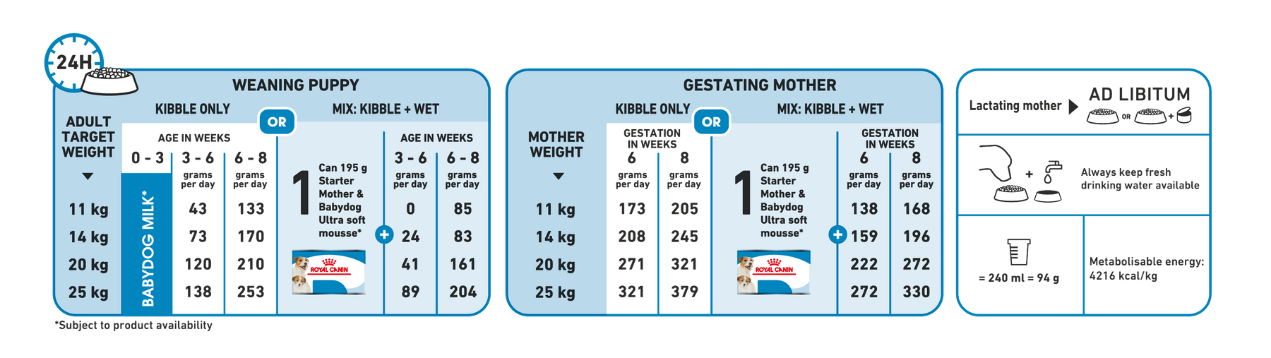 Royal Canin Medium Starter koiralle 4 kg
