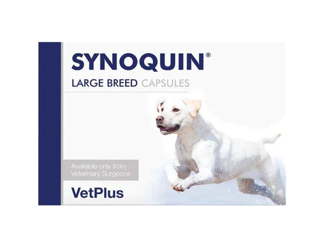 Synoquin Large Breed kapseli koiralle 120 kpl SÄÄSTÖPAKKAUS