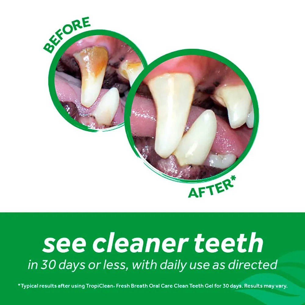Tropiclean Clean teeth oral gel koirille 118 ml
