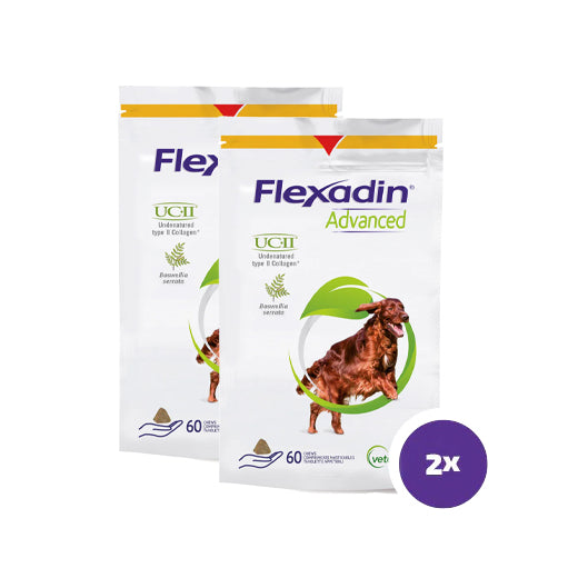 Flexadin advanced purutabletti koiralle 2 x 60 tablettia TUPLAPAKKAUS