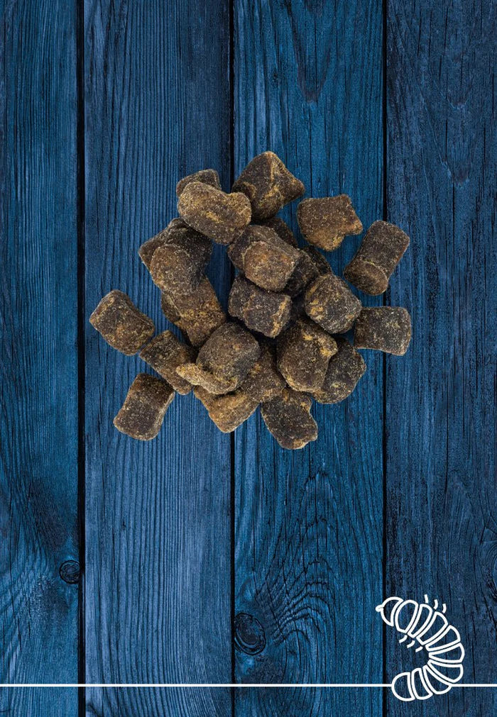 Vet Concept Hyönteisherkut 250 g