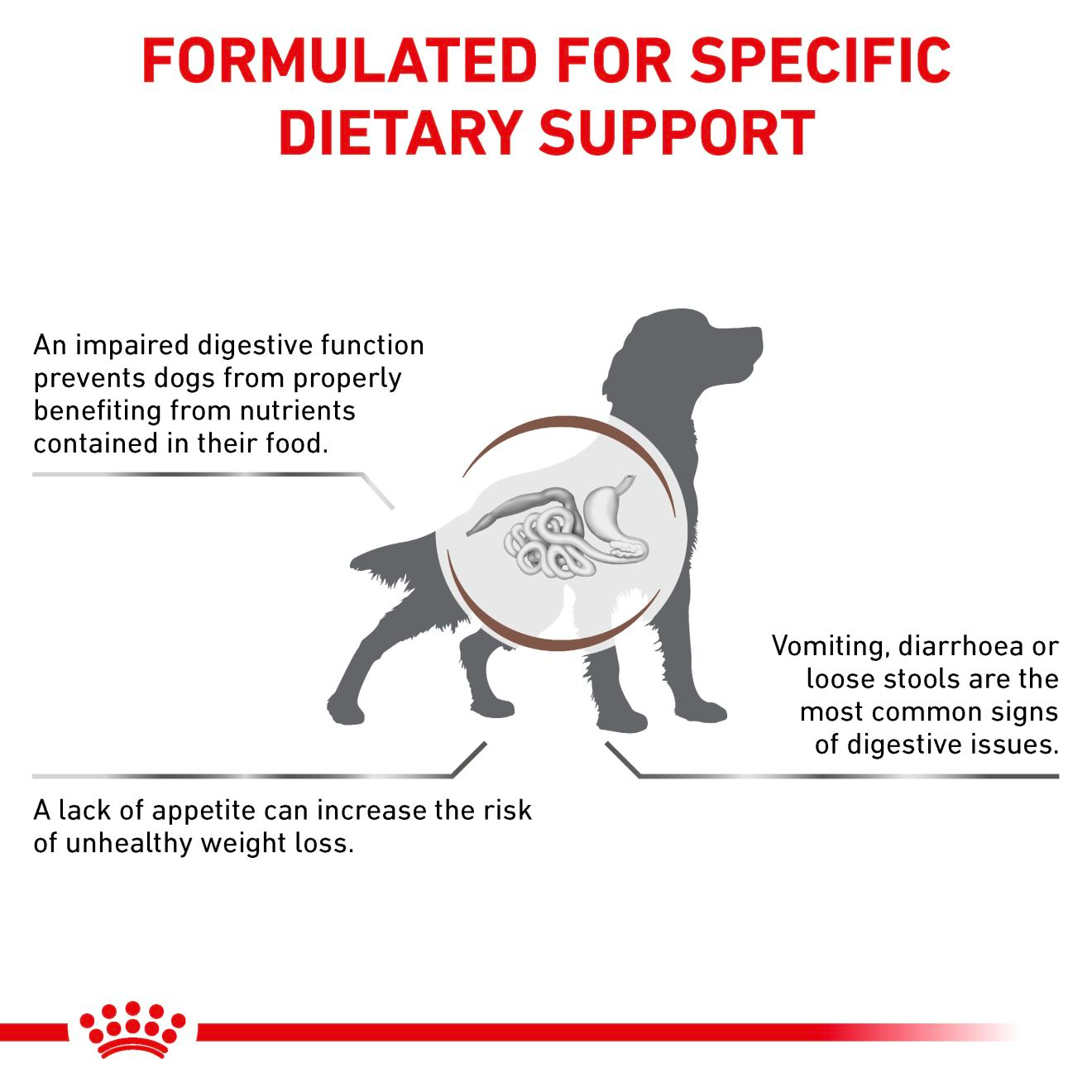 Royal Canin Veterinary Diets Gastrointestinal koiran kuivaruoka 15 kg