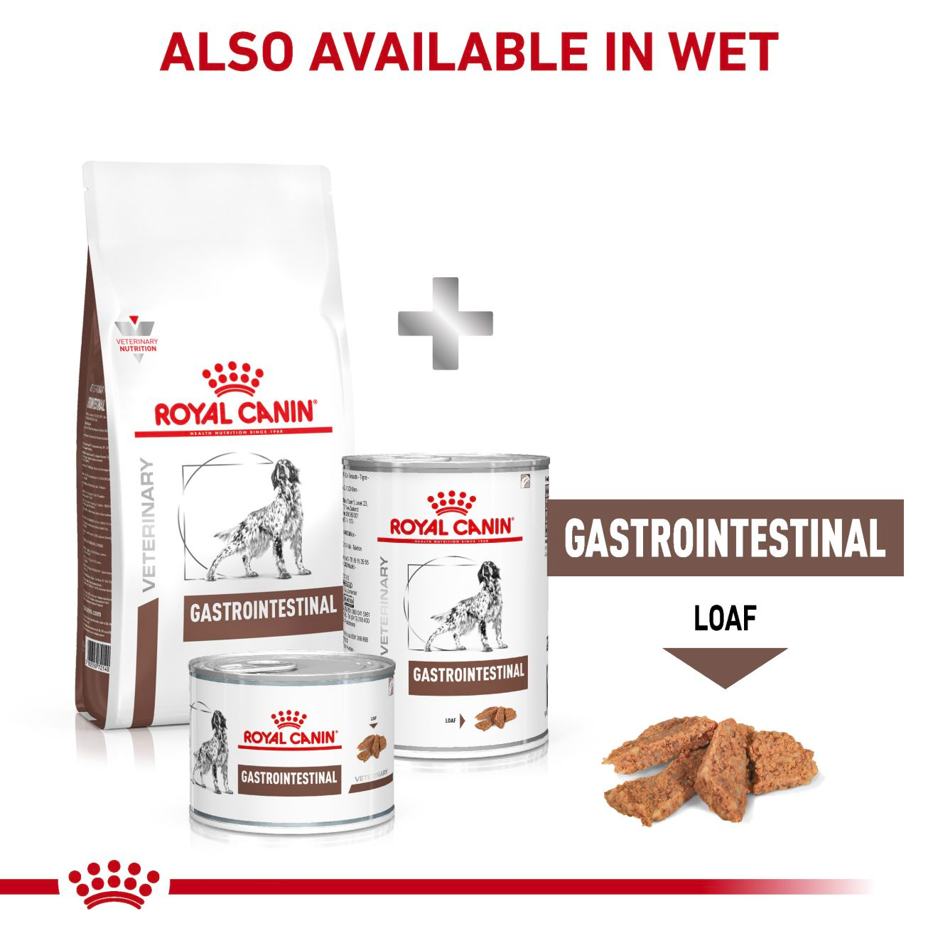 Royal Canin Veterinary Diets Gastrointestinal koiran kuivaruoka 7,5 kg