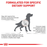 Royal Canin Veterinary Diets Gastrointestinal Hepatic koiran kuivaruoka 1,5 kg