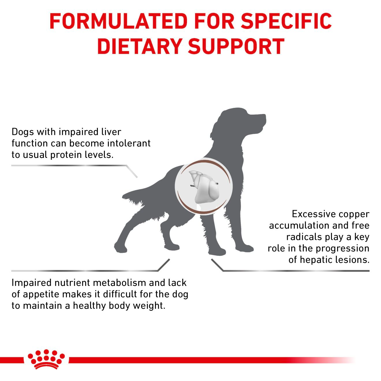 Royal Canin Veterinary Diets Gastrointestinal Hepatic koiran kuivaruoka 7 kg