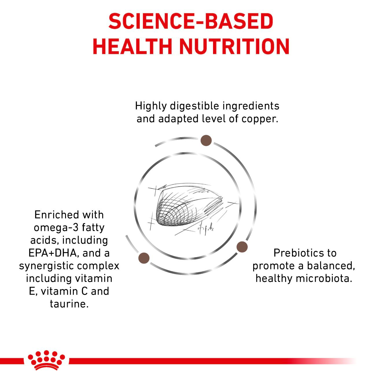 Royal Canin Veterinary Diets Gastrointestinal Hepatic koiran kuivaruoka 7 kg