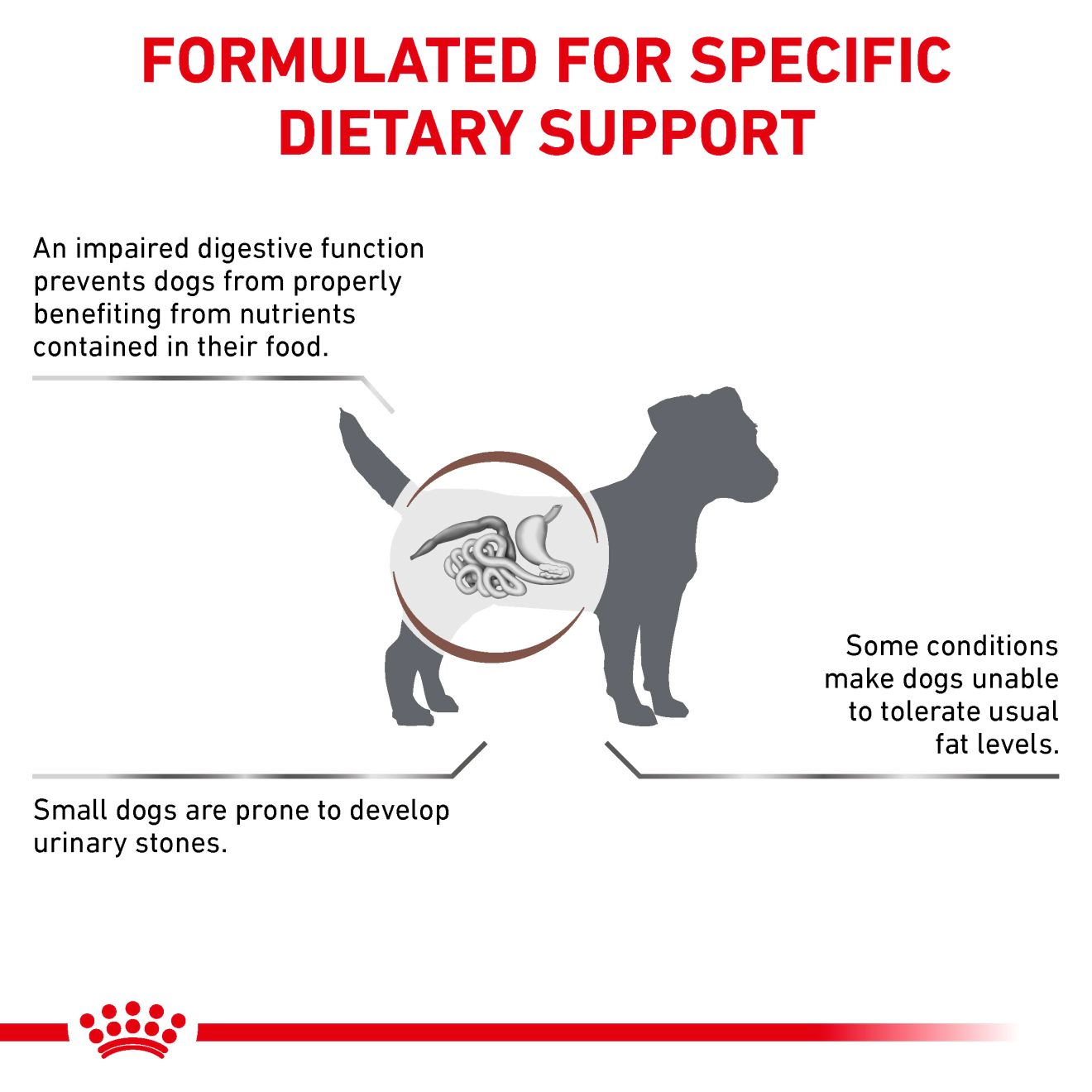 Royal Canin Veterinary Diets Gastrointestinal Low Fat Small Dogs koiran kuivaruoka 3,5 kg