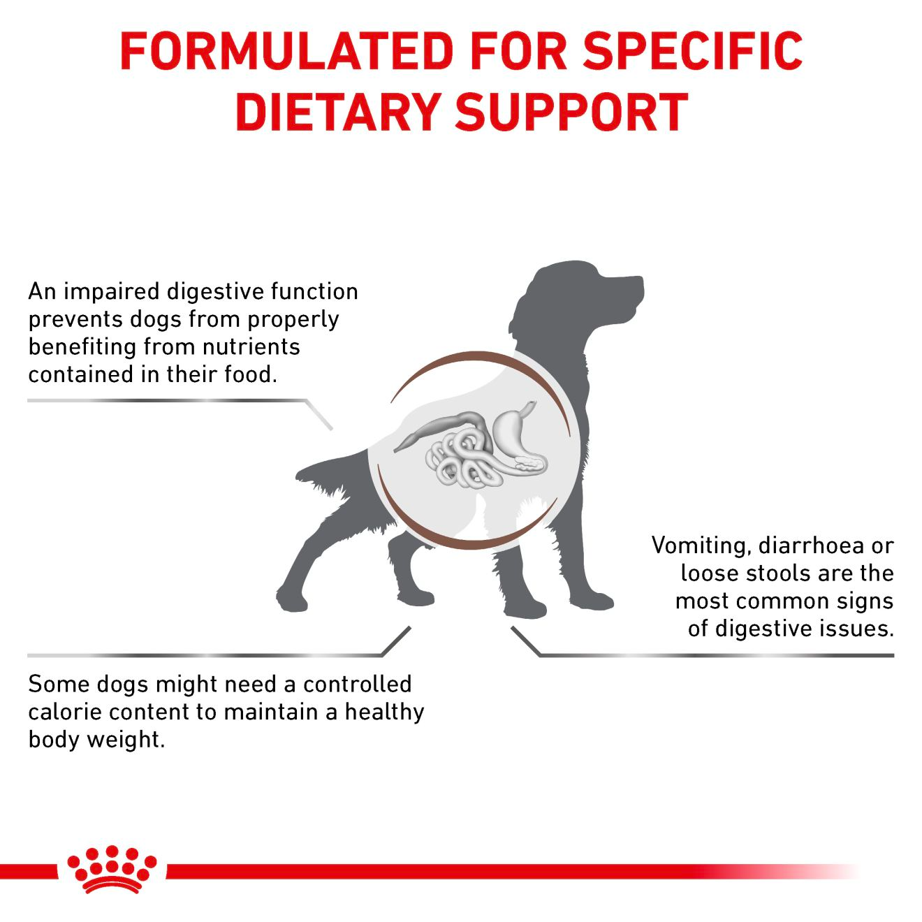 Royal Canin Veterinary Diets Gastrointestinal Moderate Calorie koiran kuivaruoka 2 kg