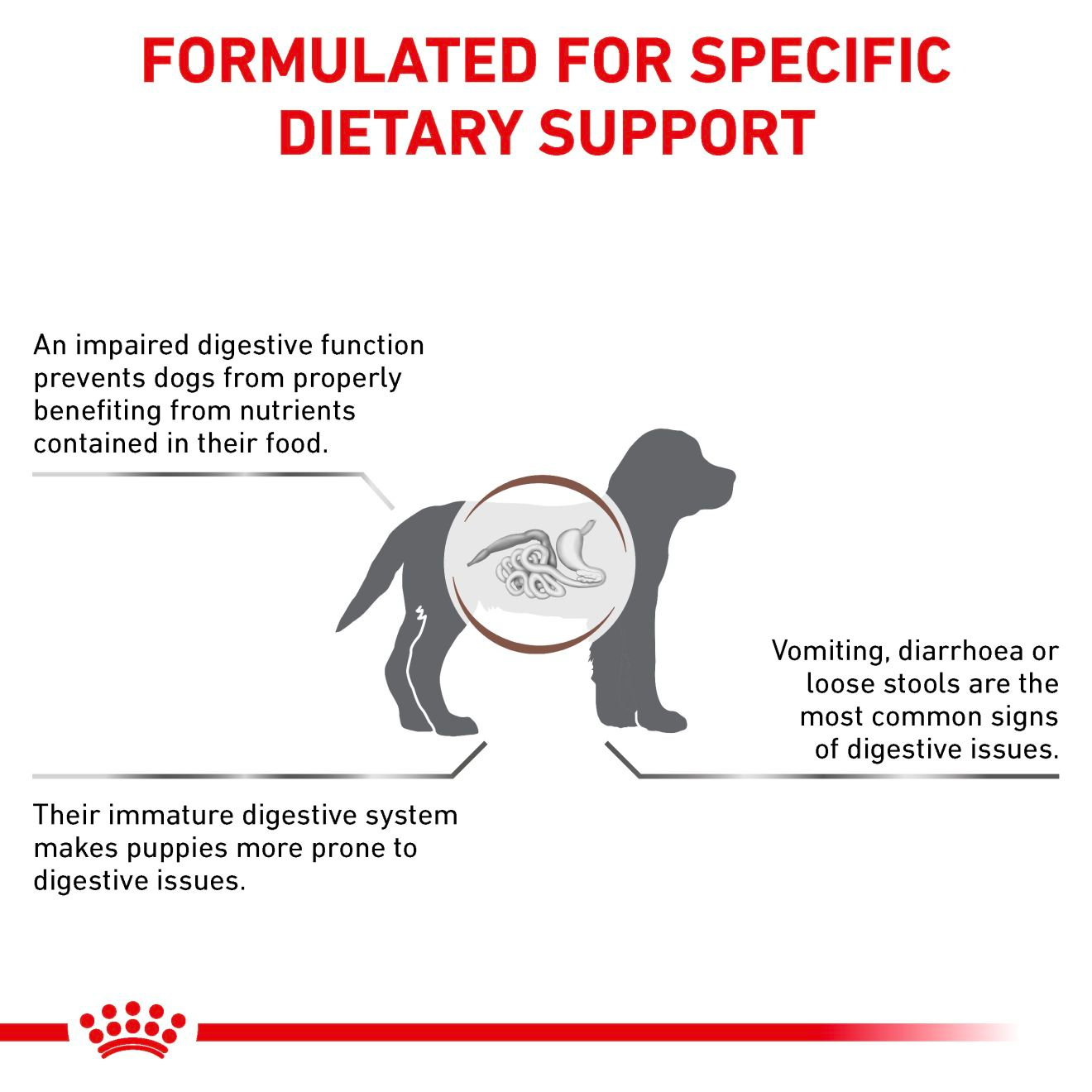 Royal Canin Veterinary Diets Gastrointestinal Puppy koiran kuivaruoka 10 kg