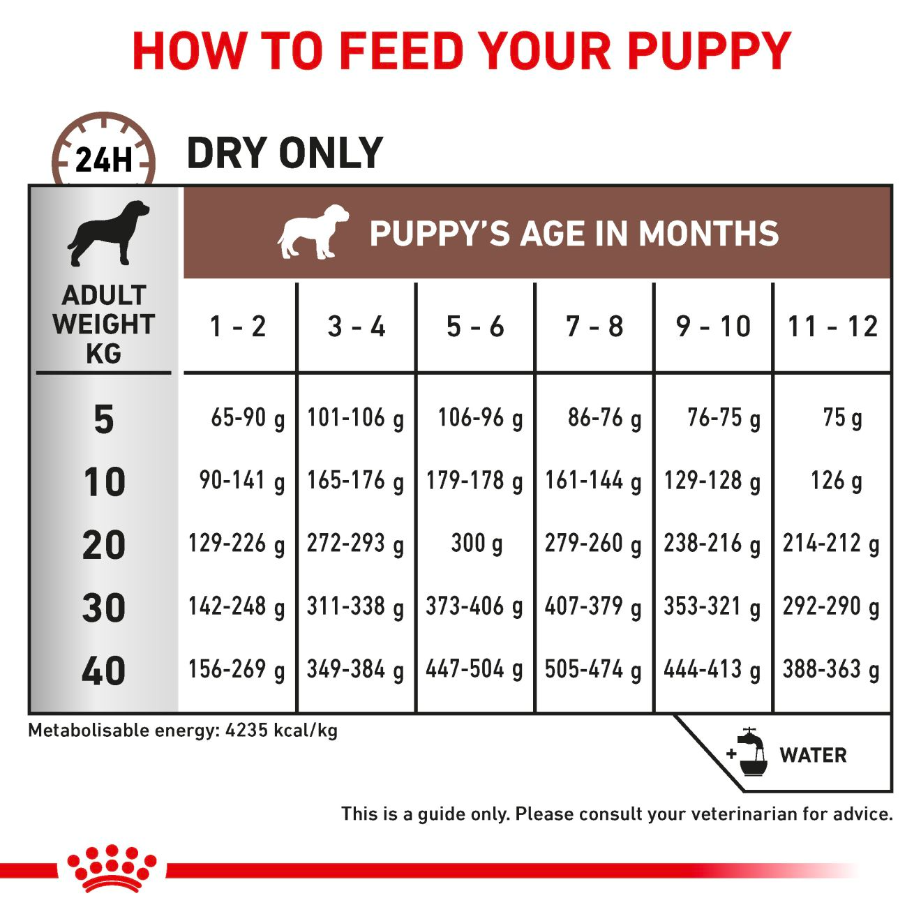 Royal Canin Veterinary Diets Gastrointestinal Puppy koiran kuivaruoka 10 kg