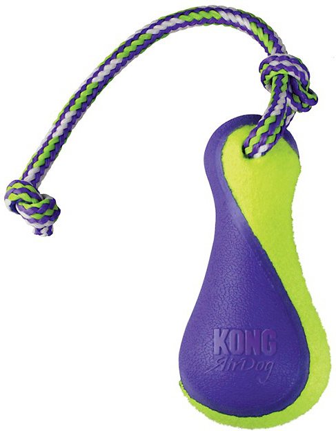 Kong Air Squeaker Buoy poiju lelu