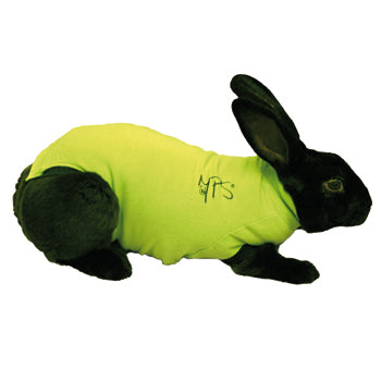 Toipilaspaita MPS kanille XXS