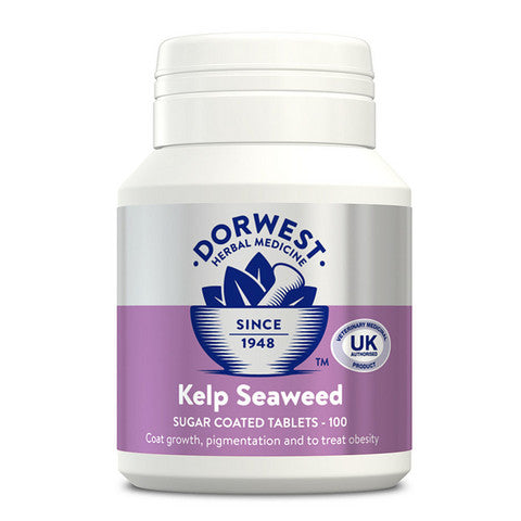 Dorwest Kelp Seaweed 100 tablettia