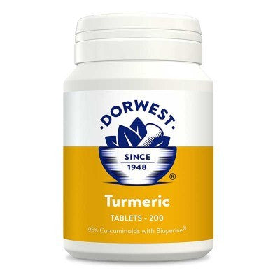 Dorwest Turmeric 100 tablettia