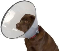 Buster Comfort kauluri 20 cm