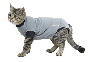 Buster suojabody kissalle S