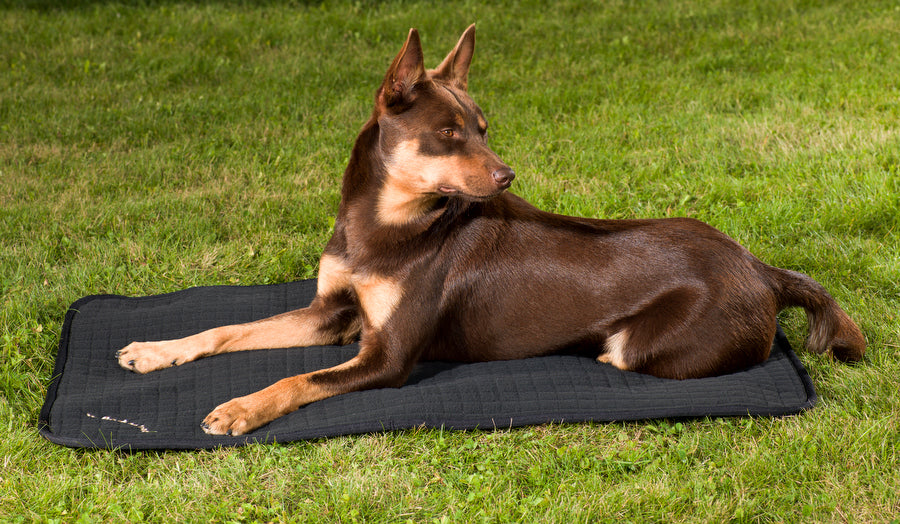 Tikattu koiranpeti M