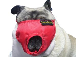 Buster Kuonokoppa lyhytkuonoisille koirille S punainen