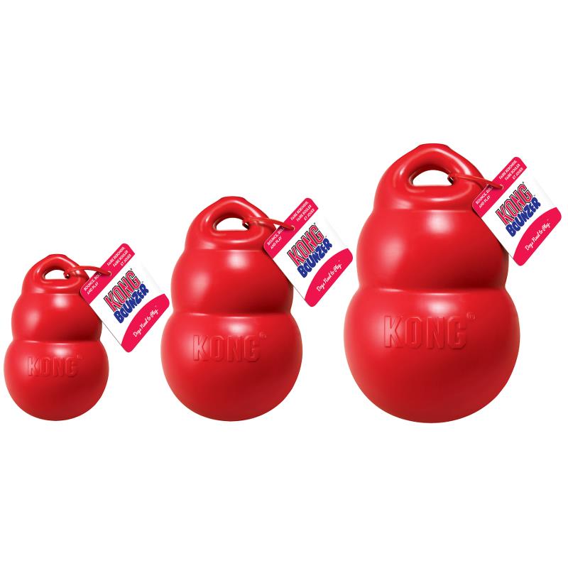 Kong Bounzer L