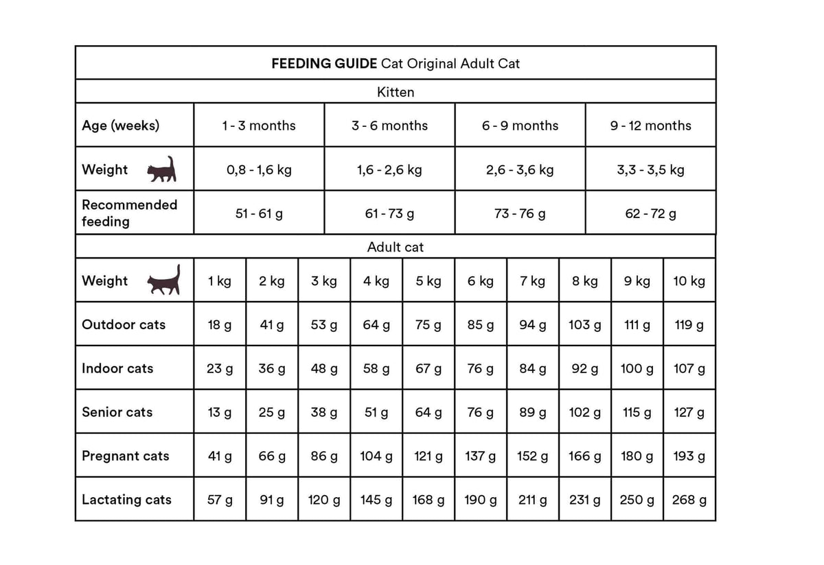 Monster Cat Original Adult Chicken-Turkey kissalle 6 kg