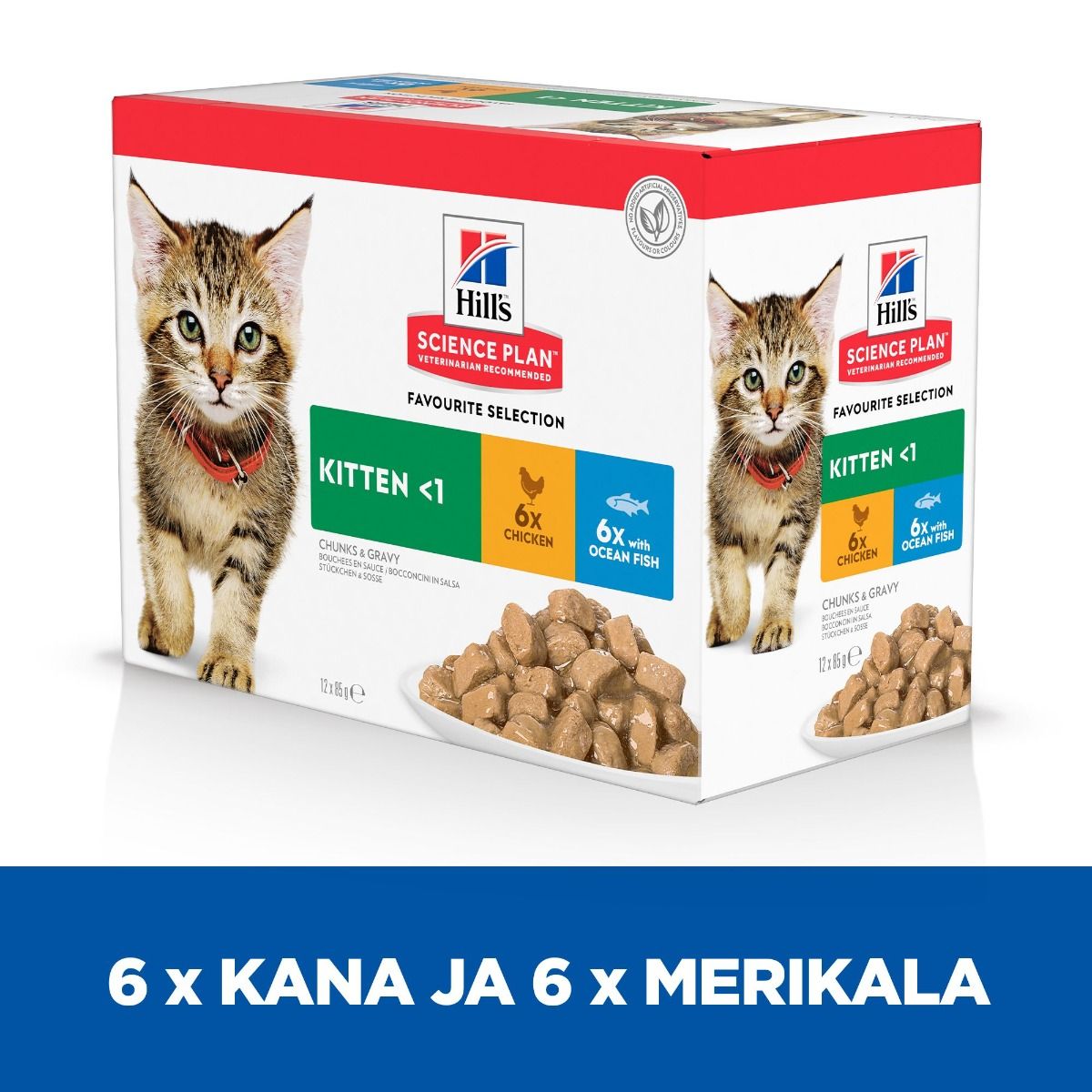 Hill's SP Kitten Multipack Chicken & with Ocean Fish kissalle 12 x 85 g