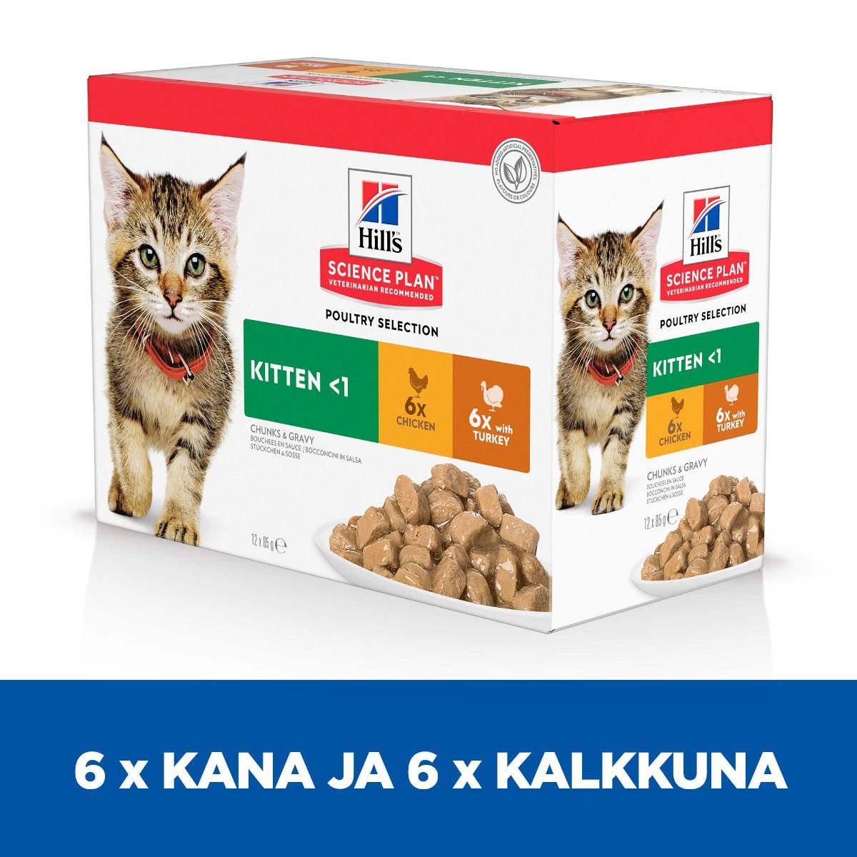 Hill's SP Kitten Multipack Chicken & with Turkey kissalle 12 x 85 g